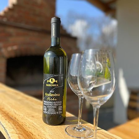 Kuca Za Odmor Baron Villa Kutjevo Екстериор снимка
