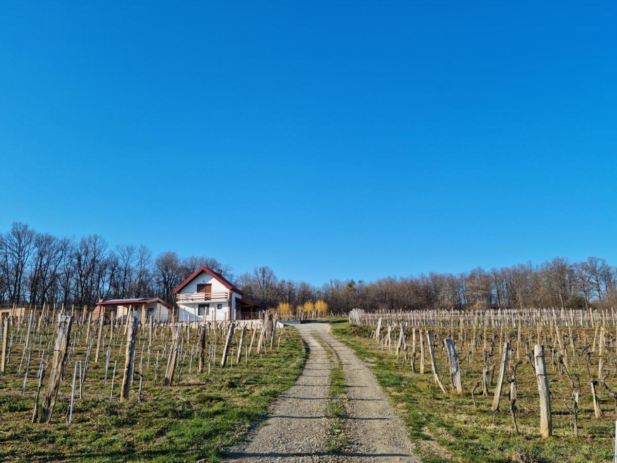 Kuca Za Odmor Baron Villa Kutjevo Екстериор снимка