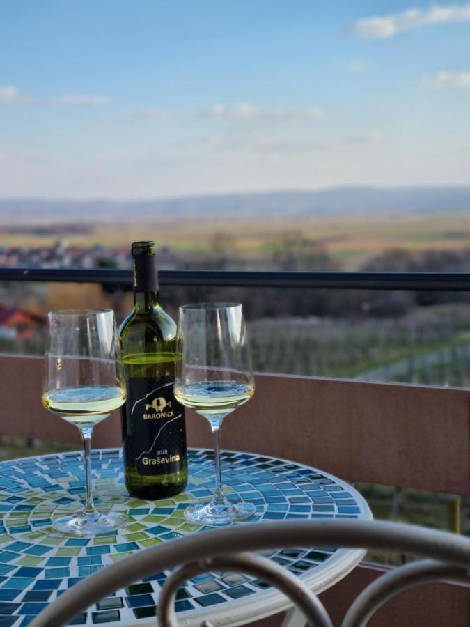 Kuca Za Odmor Baron Villa Kutjevo Екстериор снимка
