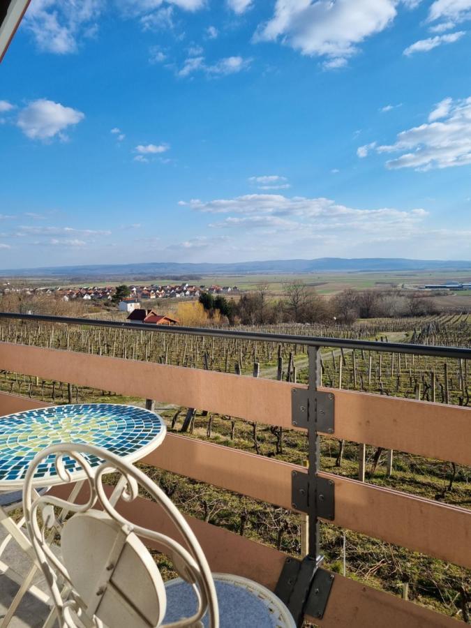 Kuca Za Odmor Baron Villa Kutjevo Екстериор снимка