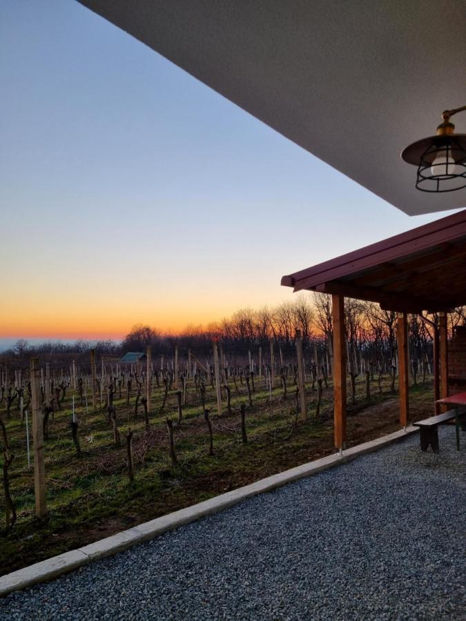 Kuca Za Odmor Baron Villa Kutjevo Екстериор снимка