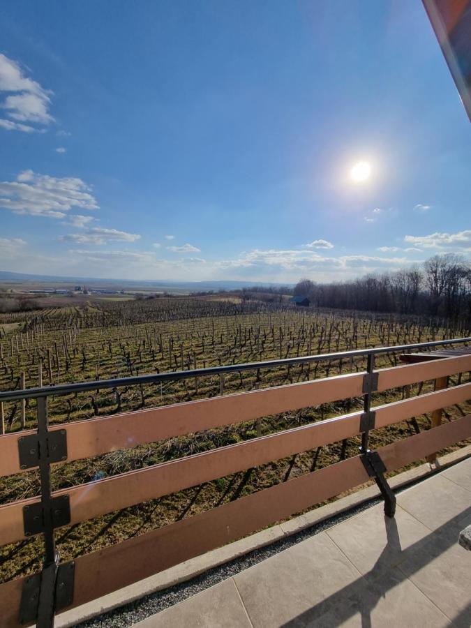 Kuca Za Odmor Baron Villa Kutjevo Екстериор снимка