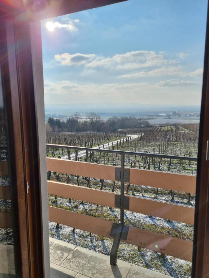 Kuca Za Odmor Baron Villa Kutjevo Екстериор снимка