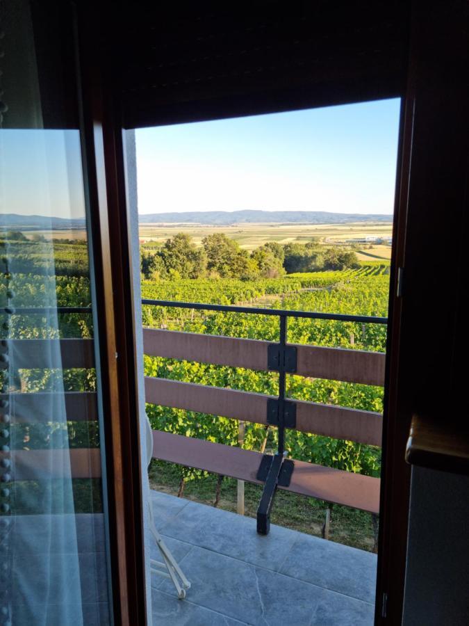 Kuca Za Odmor Baron Villa Kutjevo Екстериор снимка
