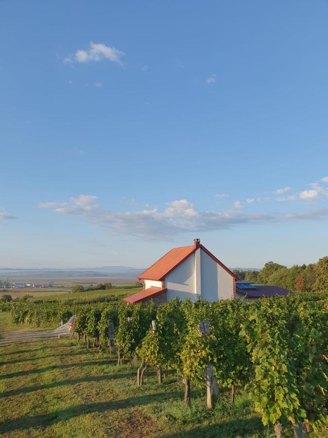 Kuca Za Odmor Baron Villa Kutjevo Екстериор снимка
