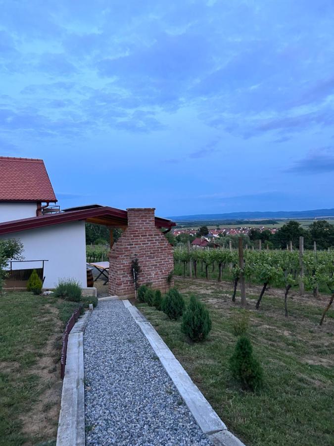 Kuca Za Odmor Baron Villa Kutjevo Екстериор снимка